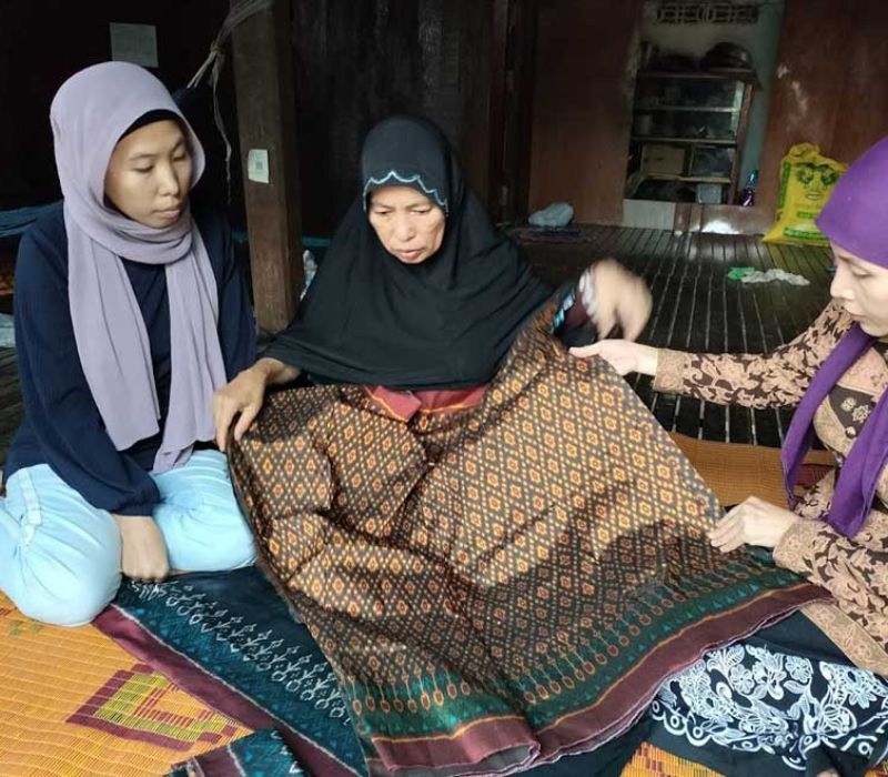 Experience Kampong Cham’s history with guided tours